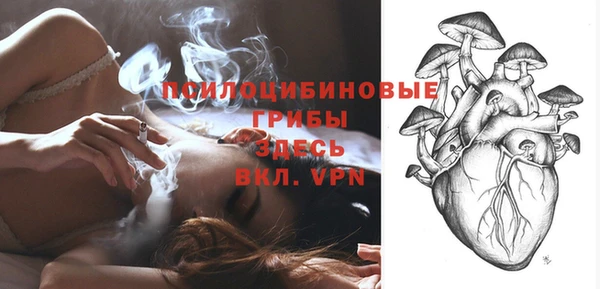 МДПВ Алексин