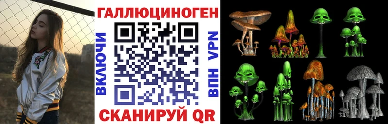 хочу наркоту  Глазов  Псилоцибиновые грибы Psilocybine cubensis 